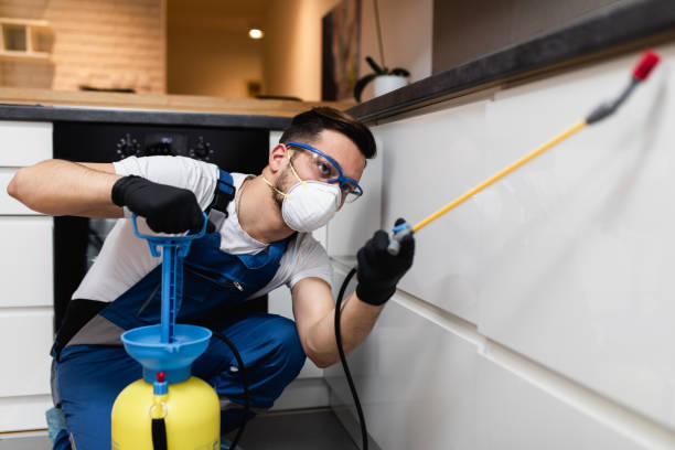 Best Best Pest Control Companies  in Daleville, VA