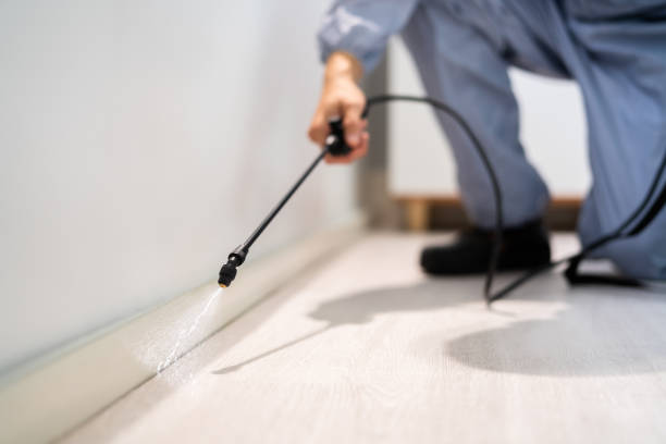 Pest Control for Restaurants in Daleville, VA