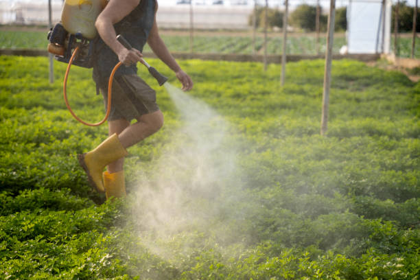 Pest Prevention Services in Daleville, VA