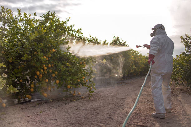 Best Residential Pest Control  in Daleville, VA