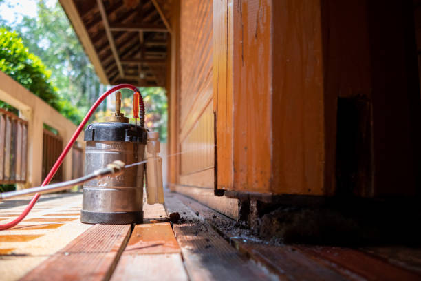 Best Wasp Removal Services  in Daleville, VA