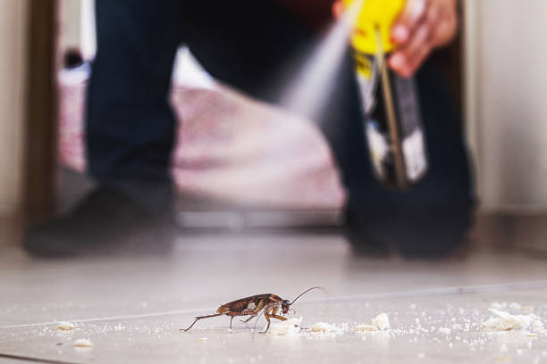 Best Best Pest Control Near Me  in Daleville, VA