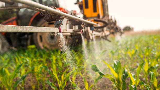 Best Pest Control Treatment  in Daleville, VA